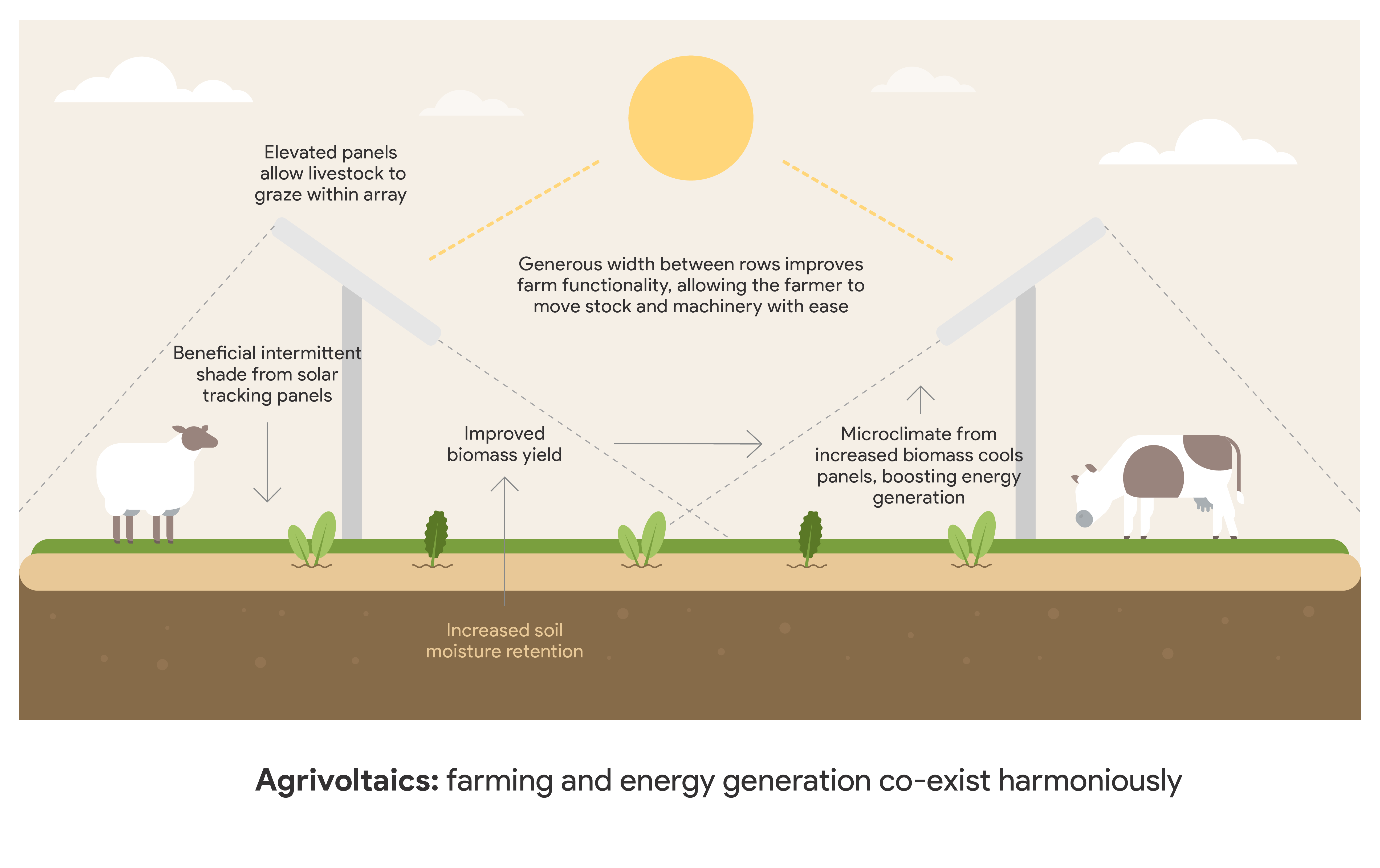 Wynergy agrivoltaics infographic