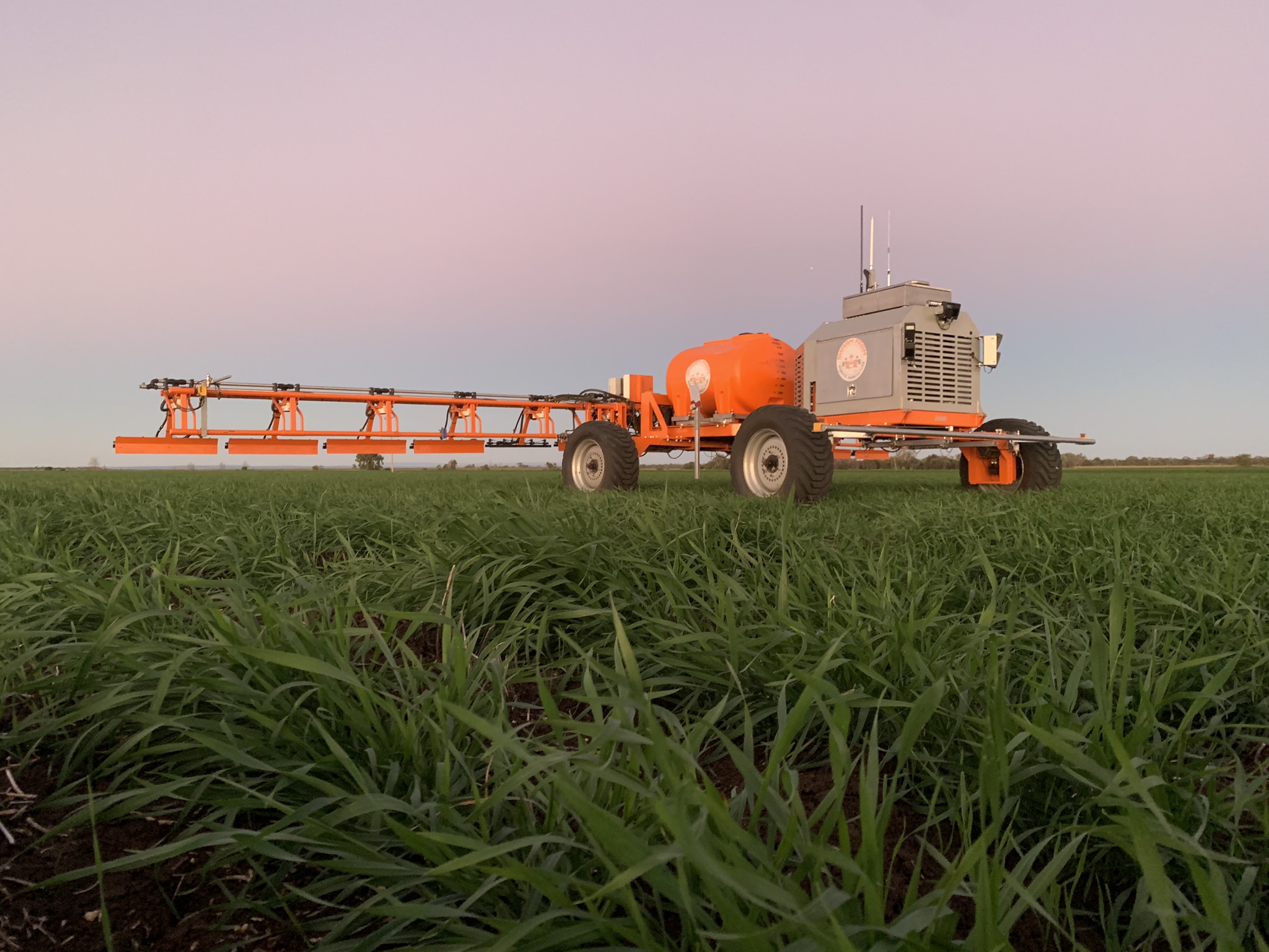 A SwarmFarm Robot in a paddock of young wheat