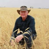 Portrait photo of Steven Hobbs kneeling in a field of wheat.