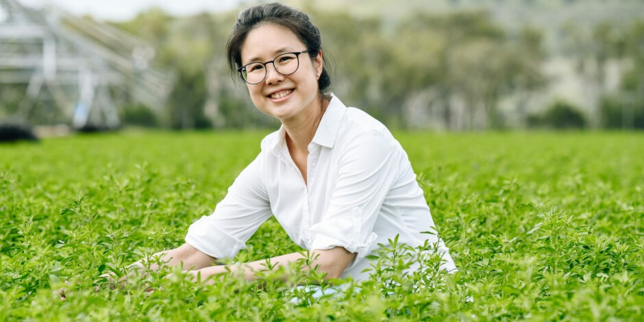 Fern Ho, the Leaf Protein Co