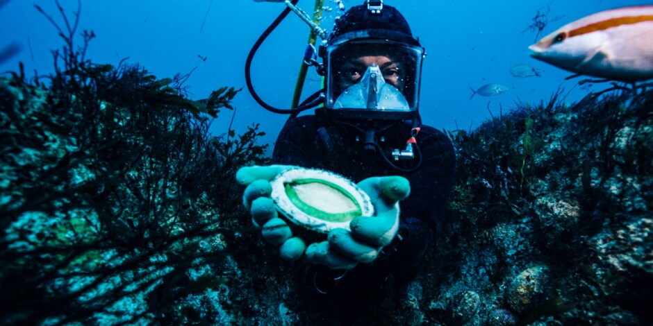 A scuba diver wearing a full face mask holding an abalone