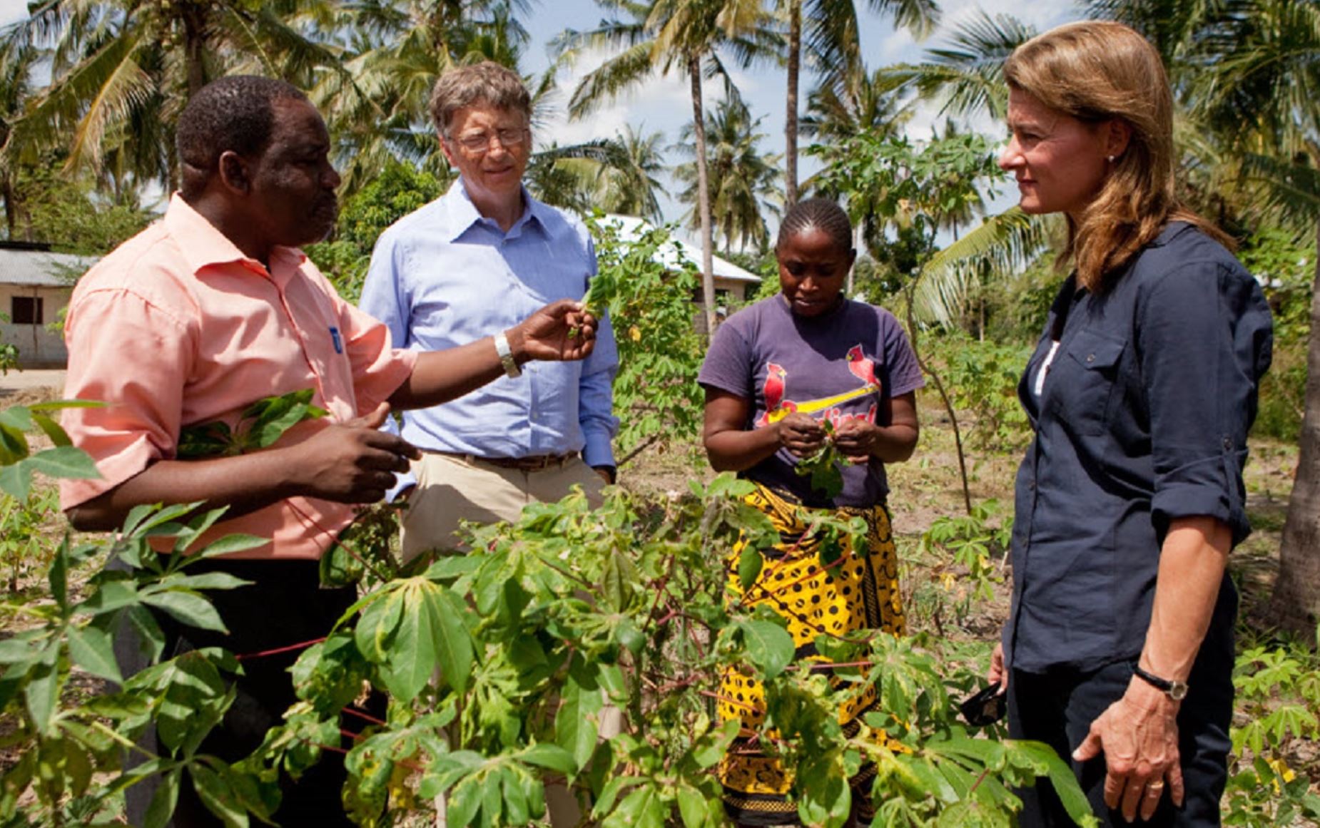 Bill Gates talking to farmers. 