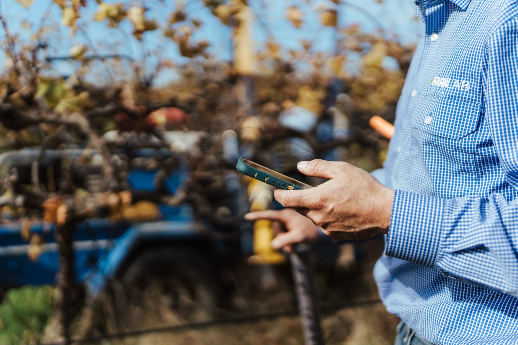 Man holding phone in vineyard 