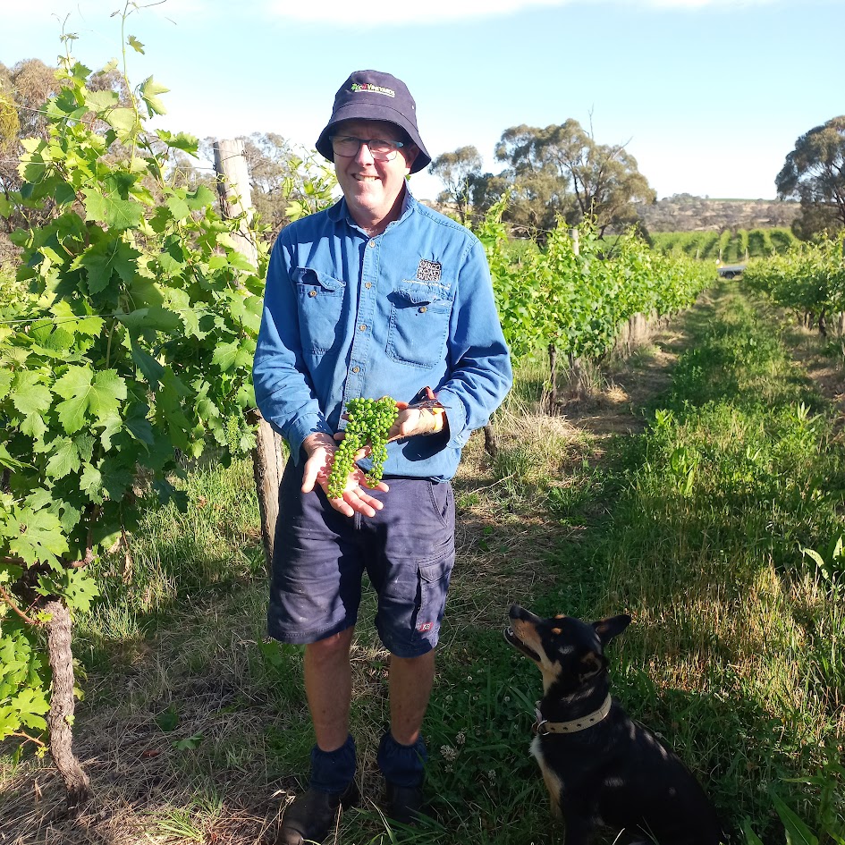 James Sweetapple in a vineyard.