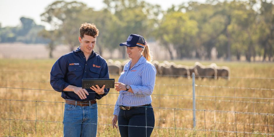 Two people talking in a paddock with cattle in the background.
