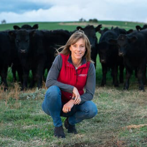 Dr Bronwyn Darlington crouches in front of cattle